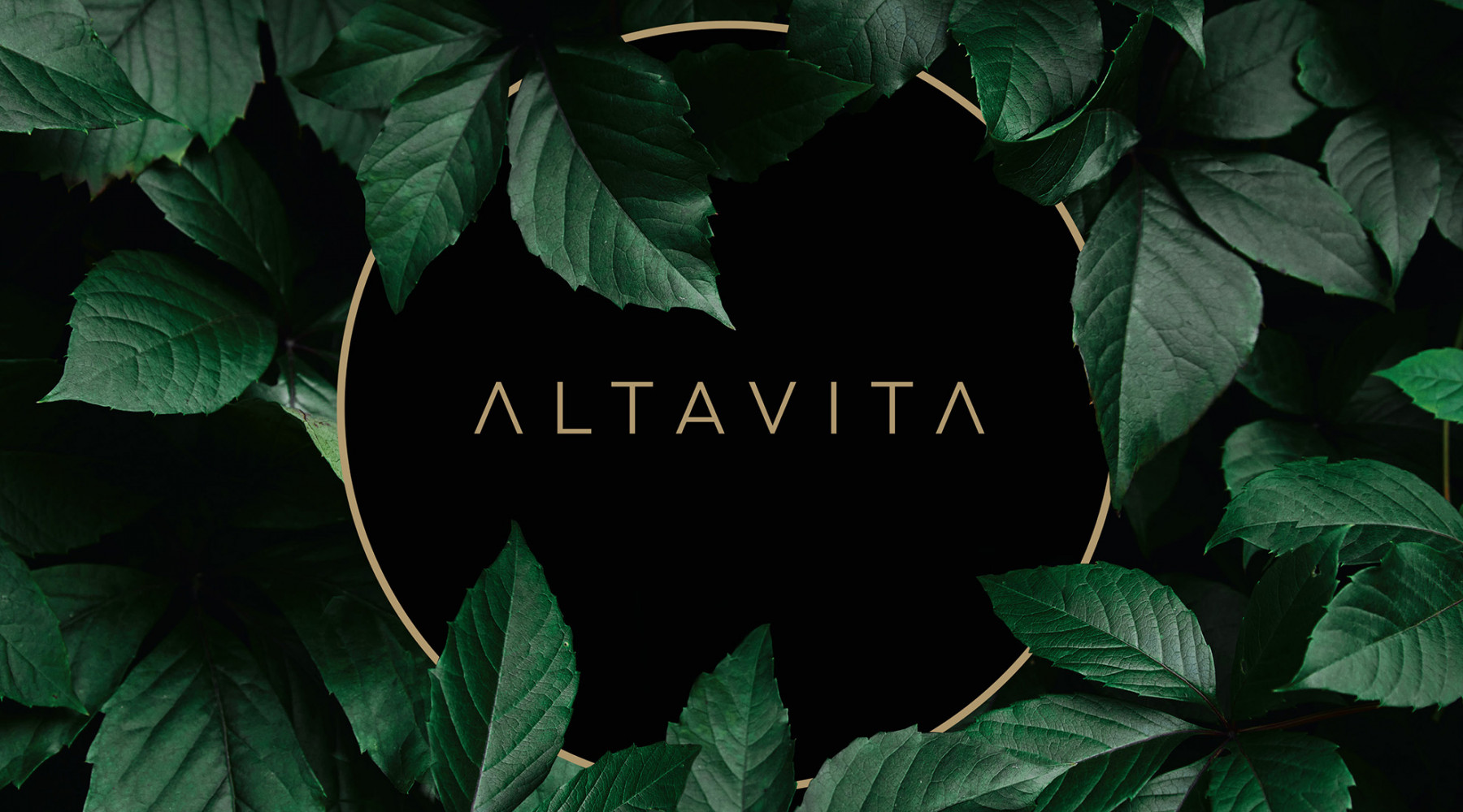Altavita logo