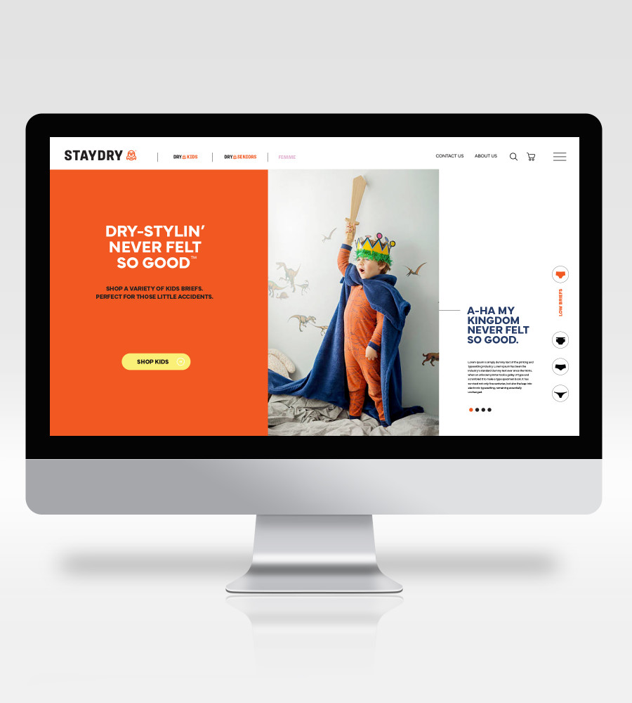 Staydry Website v2